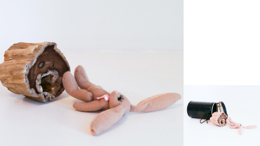 Petrified wood trunk and stuffed cloth toy rabbit