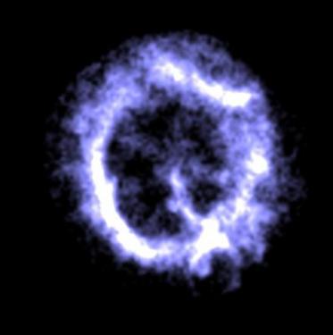 Digital image of a cell-like object